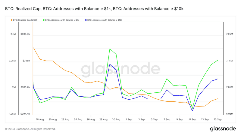 Plataforma de IA de Botradyx Lux
